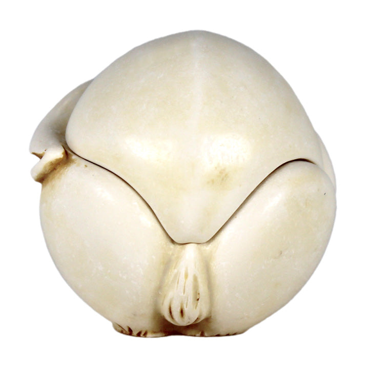 back end of harmony kingdom fergie rabbit roly polys