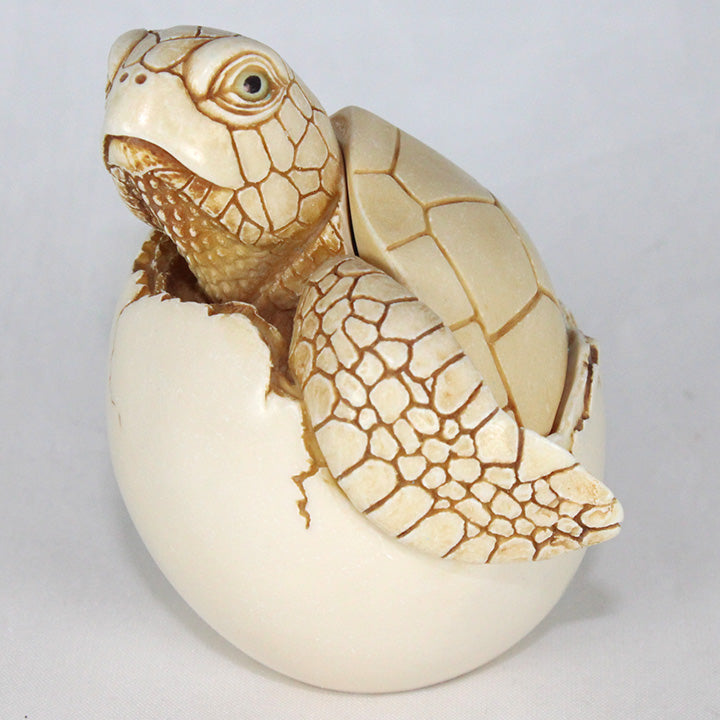 Adam Binder new dawn baby sea turtle hatching box figurine