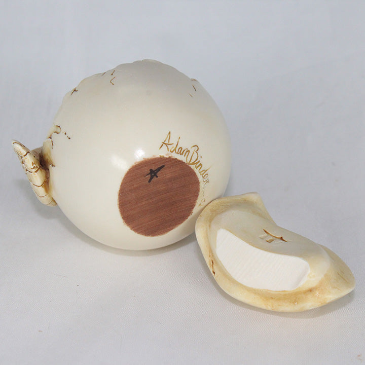 Adam Binder new dawn sea turtle hatchling box figurine signature, initial and stamp