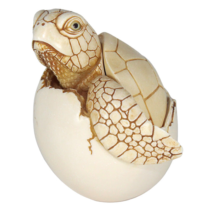 Adam Binder new dawn baby sea turtle box figurine