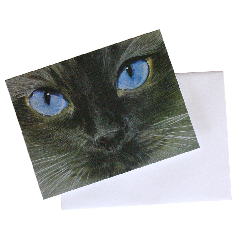 hand drawn art note card with close up of siamese cat face with blue eyes on blank envelope