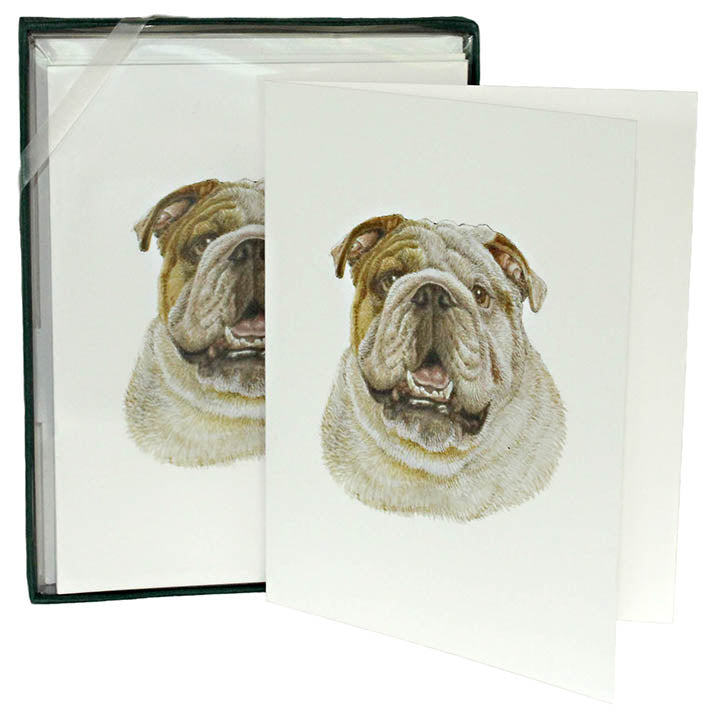 bulldog boxed note cards and envelopes