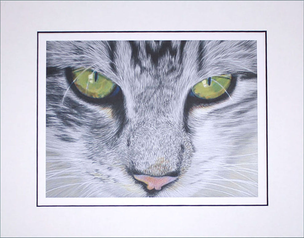 hand drawn art of close up of silver gray and black tabby cat face with green eyes mounted in white matte with black trim