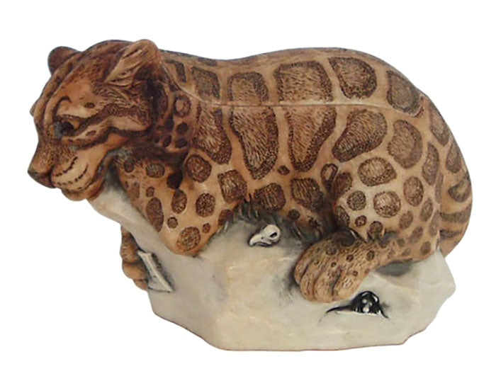 clouded leopard treasure jest left side view