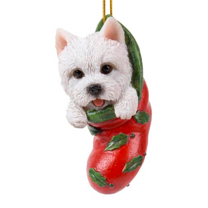 close up view of west highland puppy in red stocking with green holly leaf designs christmas ornament