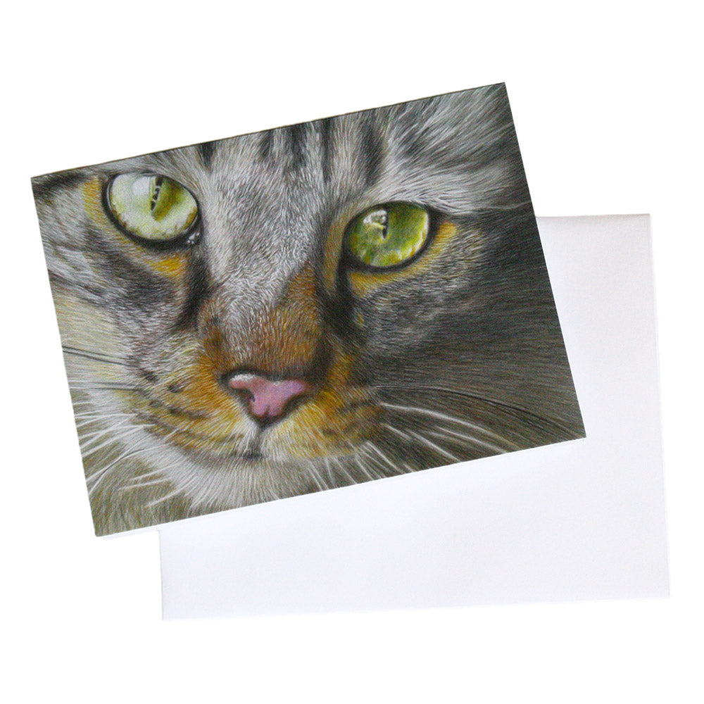 hand drawn art note cared of close up of silver and brown tabby cat face with green eyes on blank envelope